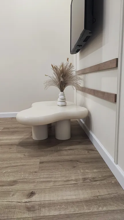 Евродвушка в стиле джапанди