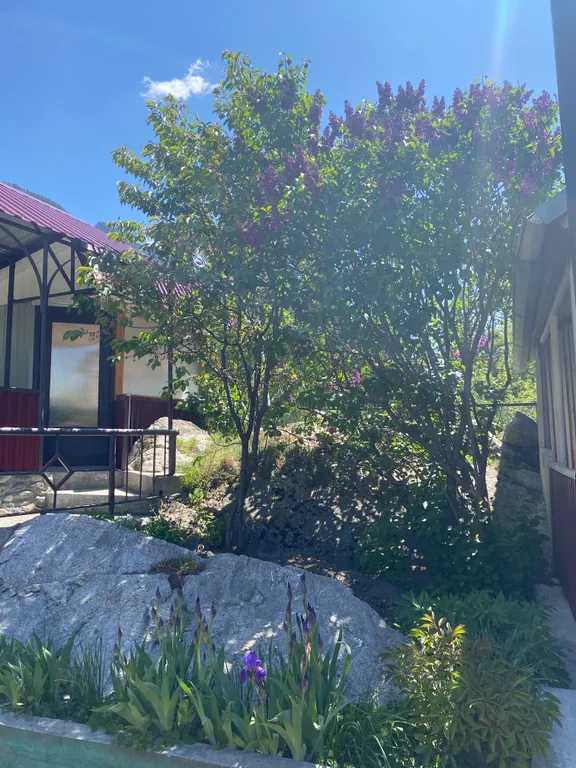 3-комнатный Дом