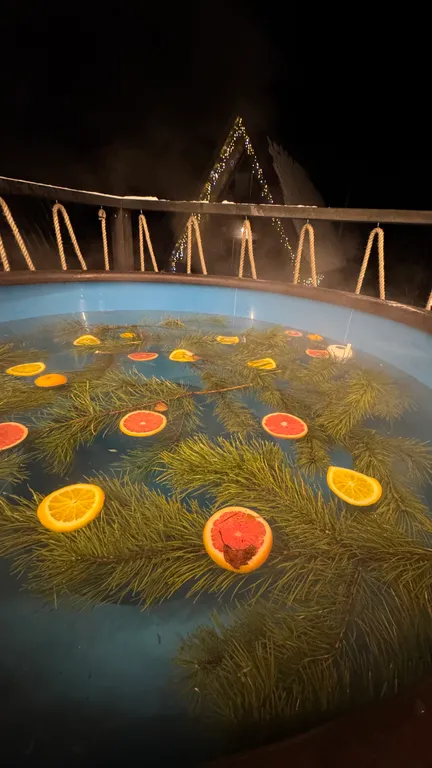 Зеленый дом