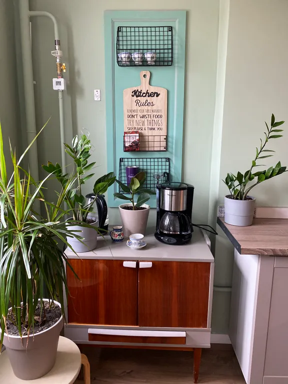 Зелёная студия в элитном доме города