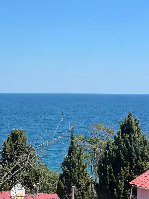 Дом на ласточке