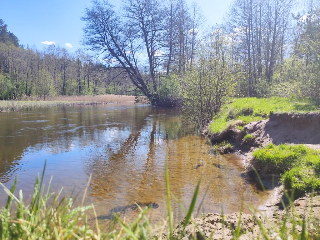 Дом в окружении леса, озёр и рек, около турбазы Алоль