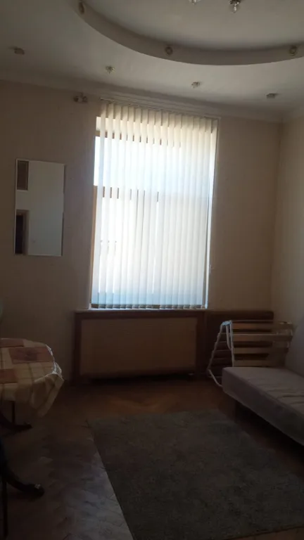Уютная студия в Толстовском доме