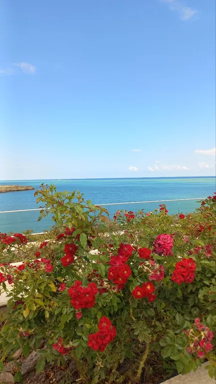 Комната у моря