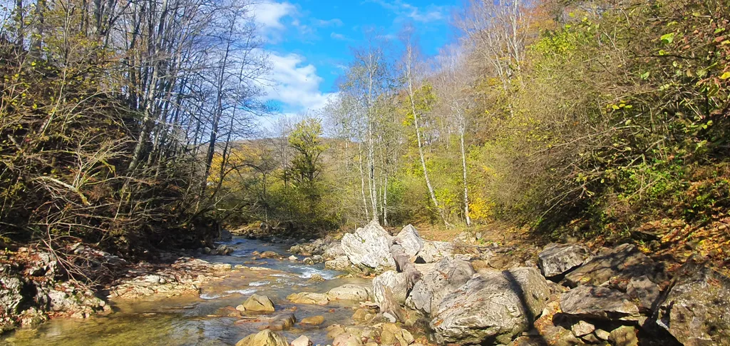 Коттедж Коттедж Сруб под пихтами — Мезмай