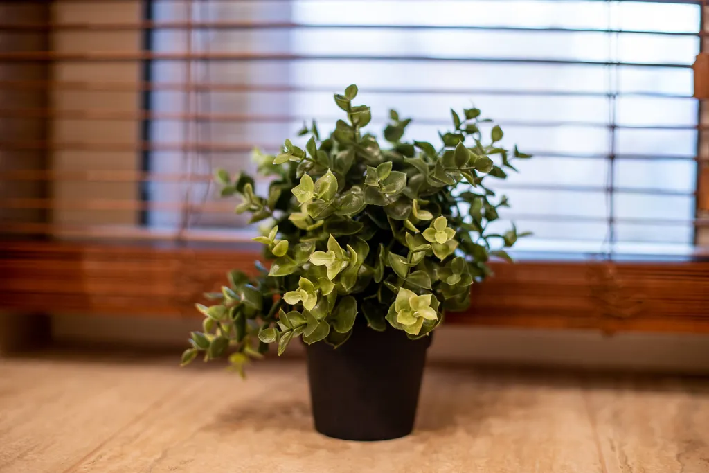 Квартира в старинном особняке