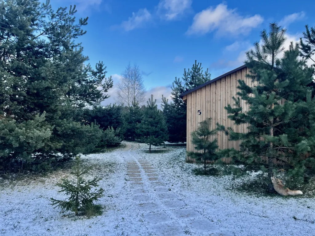 Коттедж 42 метра в лесу у пруда