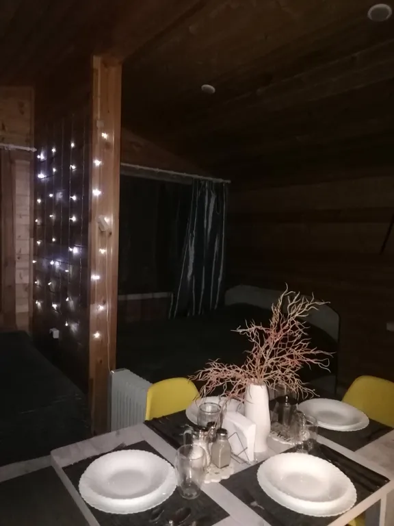 Дом в лесу с бассеином