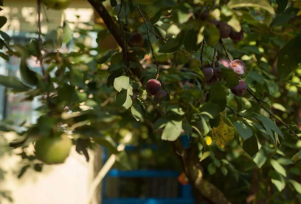 Уютный Домик у горной реки Вулан