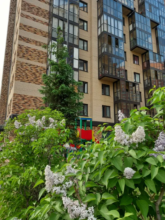 Квартира Квартира Атмосферная евро-трёшка в ЖК Покровка-life Центрального р-на — Красноярск