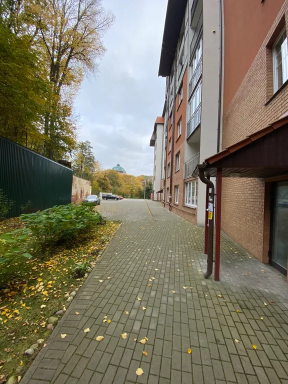 Уютная студия с видом на озеро и лес