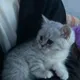 Виталий
