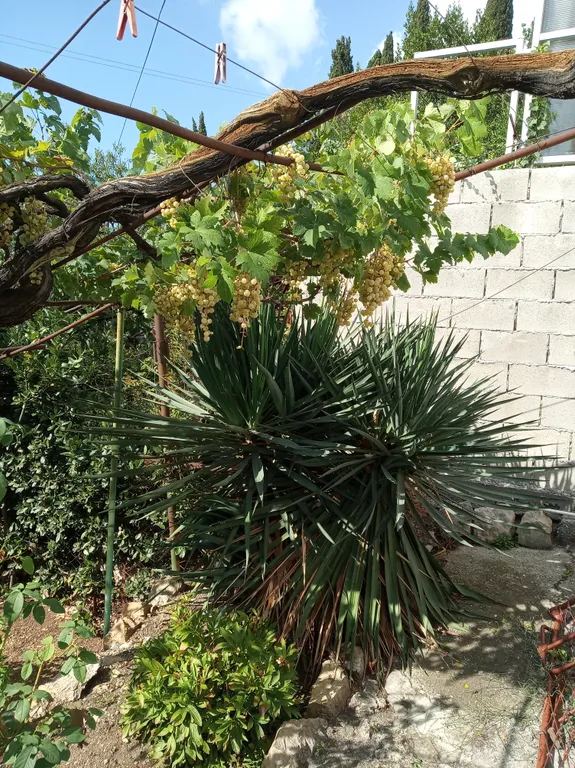 Прохладная комната в частном доме