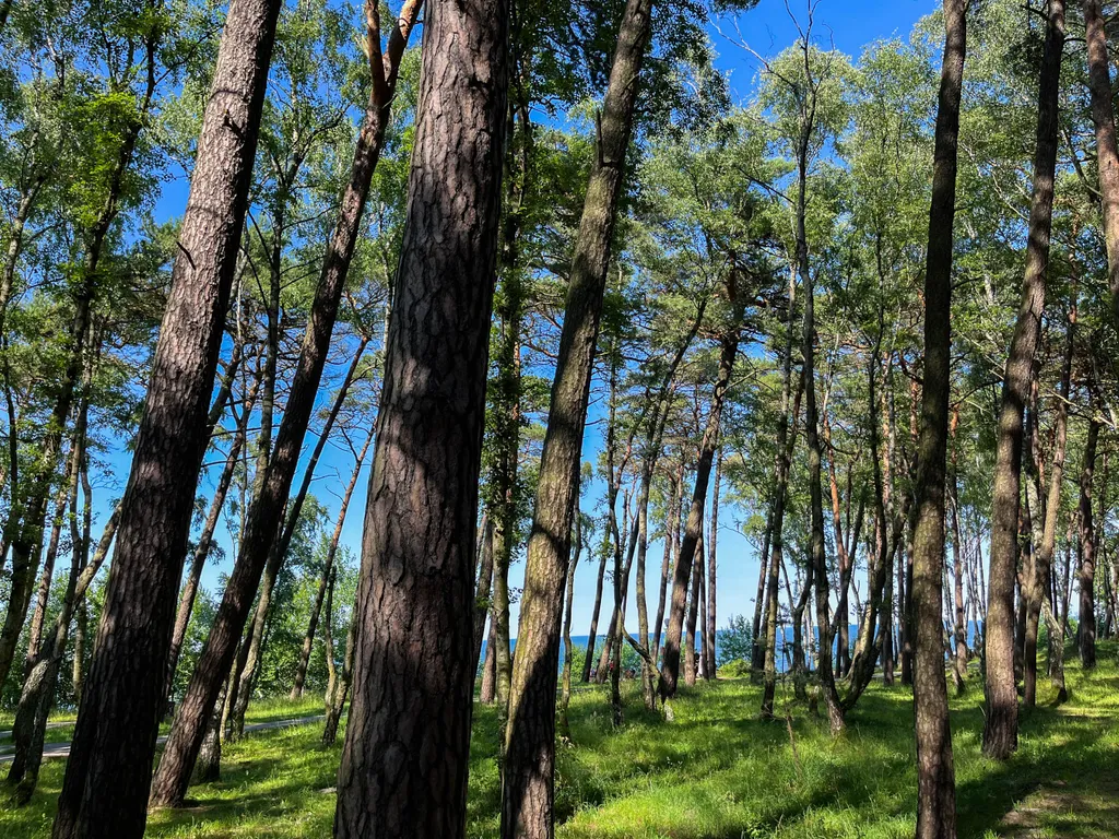 Apartment Studio Villa Park №3