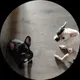 Василий