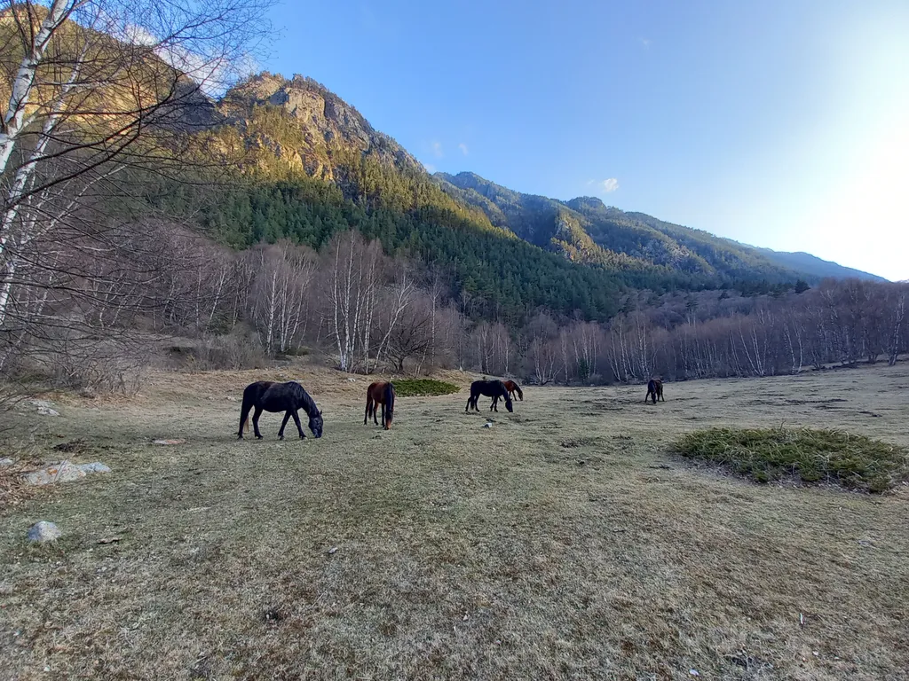 Домик в горах