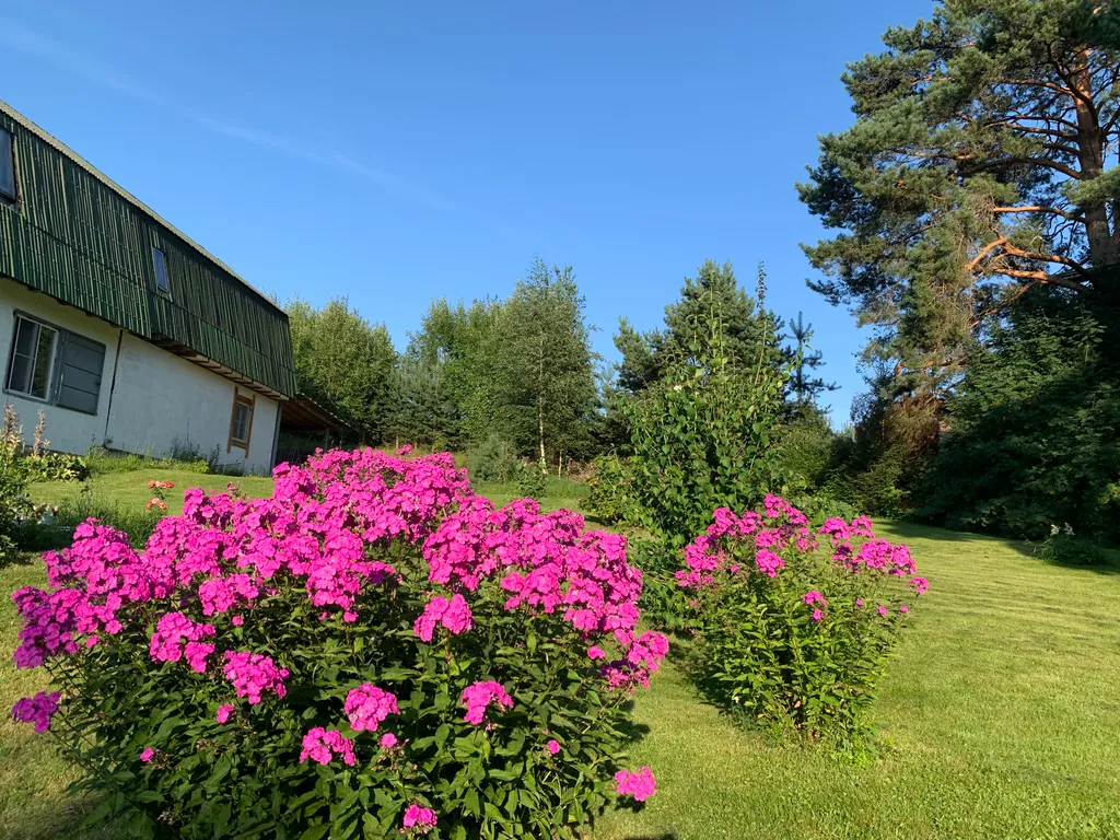 Дача в красивом живописном месте