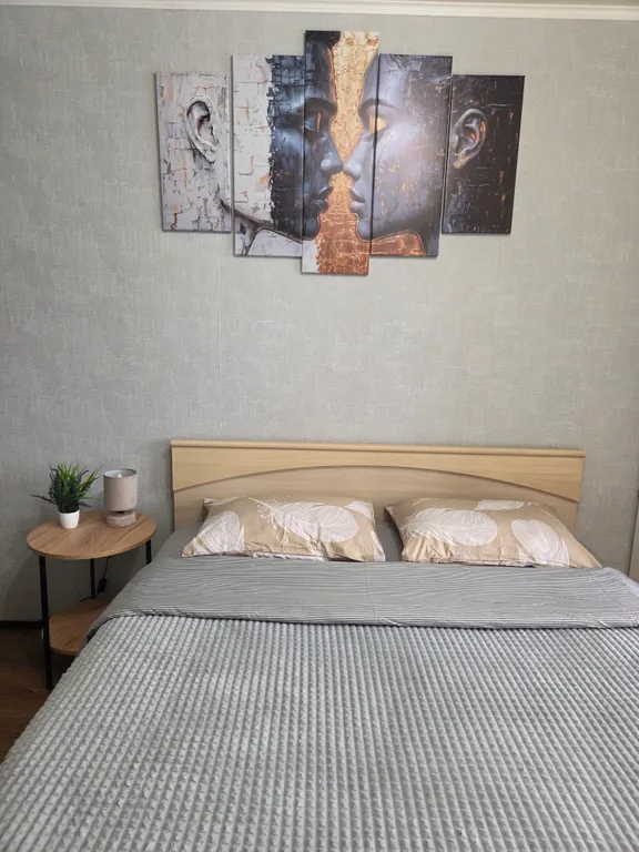 Уютная, однокомнатная квартира, до центра города 10 минут пешком