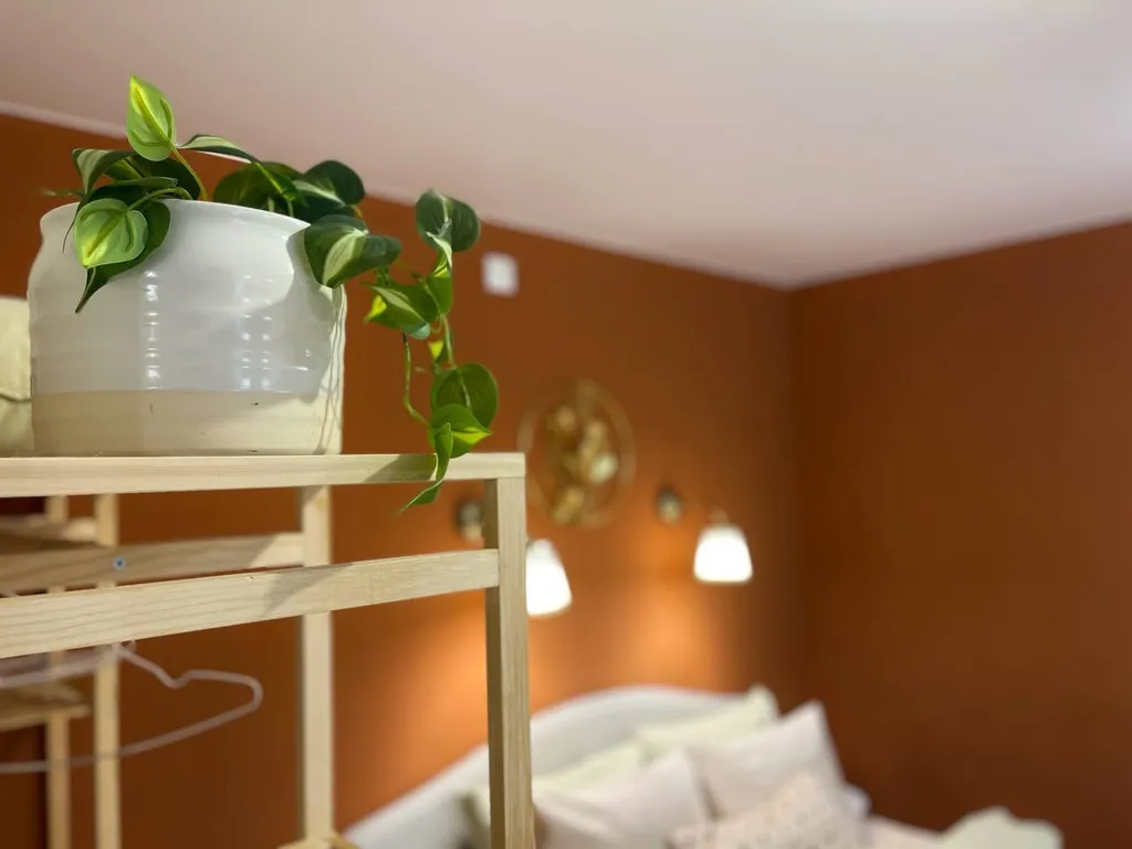 Апартамент терракота