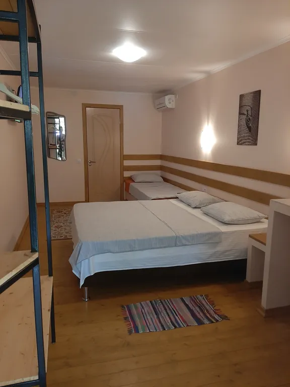 Кактус у моря