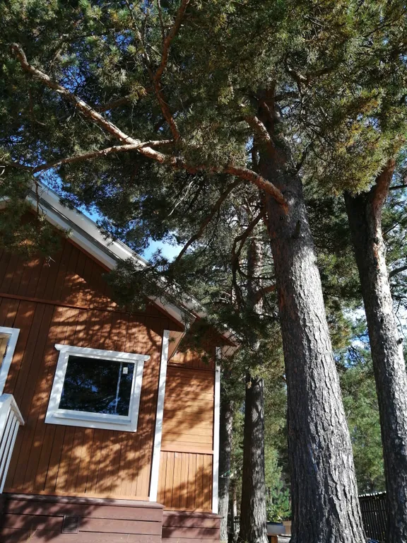 Дом на берегу реки