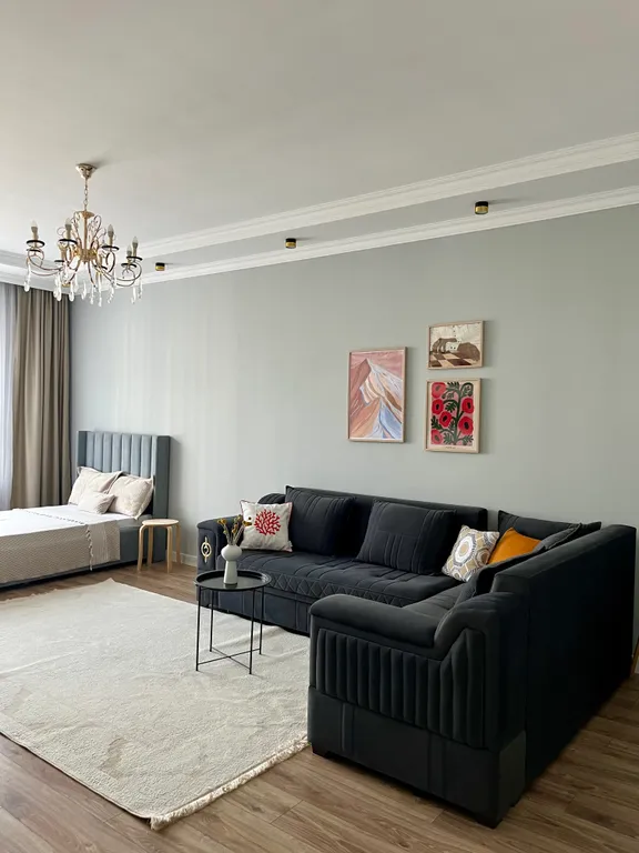 Квартира в современном жк amir