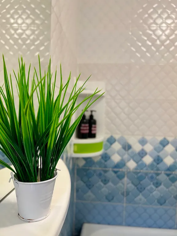 Квартира в центре города, район пед. университета