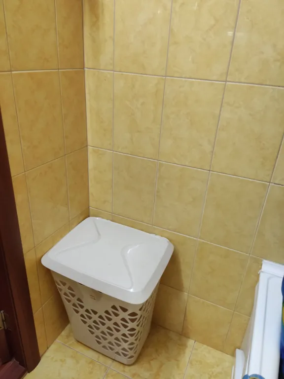 Большая квартира