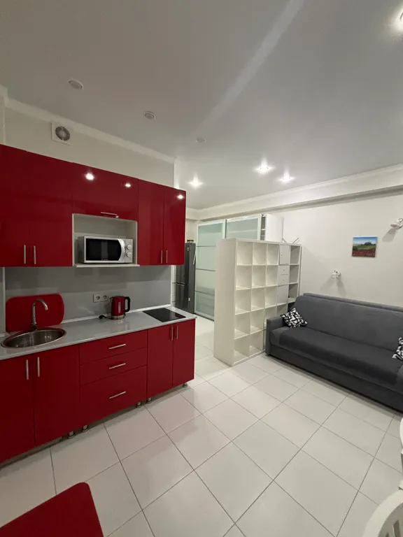 Новая студия с дизайнерскими ремонтом