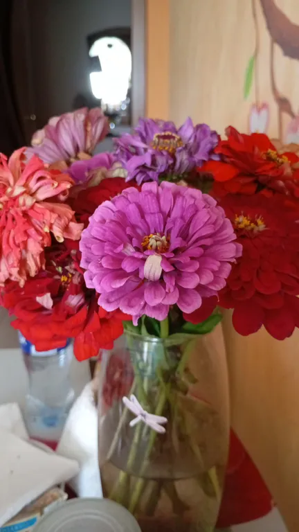 Чистая и уютная квартира , как дома.