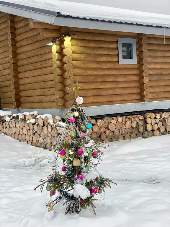 Домик с видом на лес