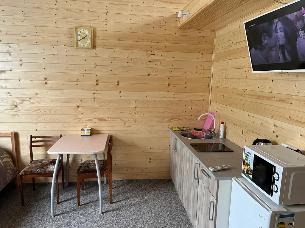 Домик-студия