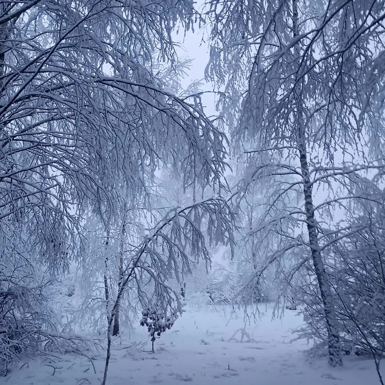 Усадьба Анатолия