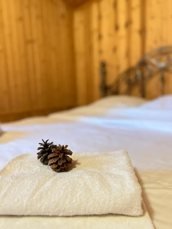 Дом на первой линии Волги с шикарным видом