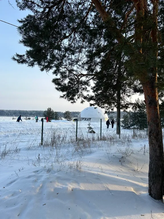 Домик в Поддубье в стиле БарнХаус
