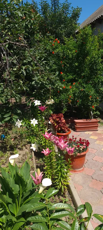 Дом, все в нем!