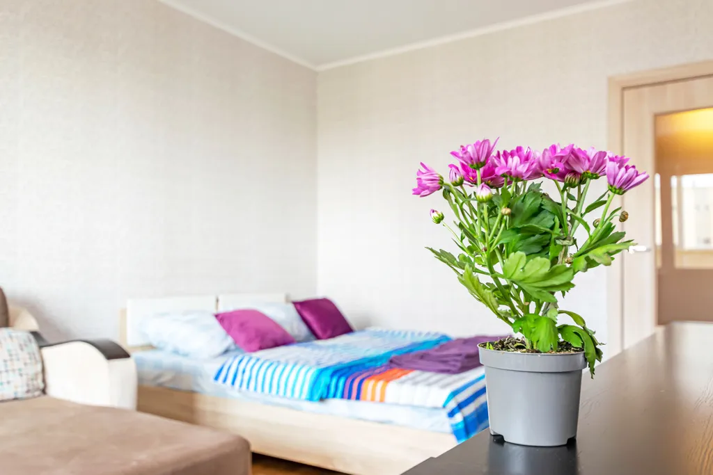 Уютная квартира у столицы — аренда посуточно в Пермь