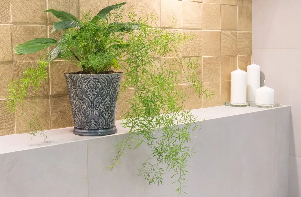 Апартаменты у Цирка на Фонтанке