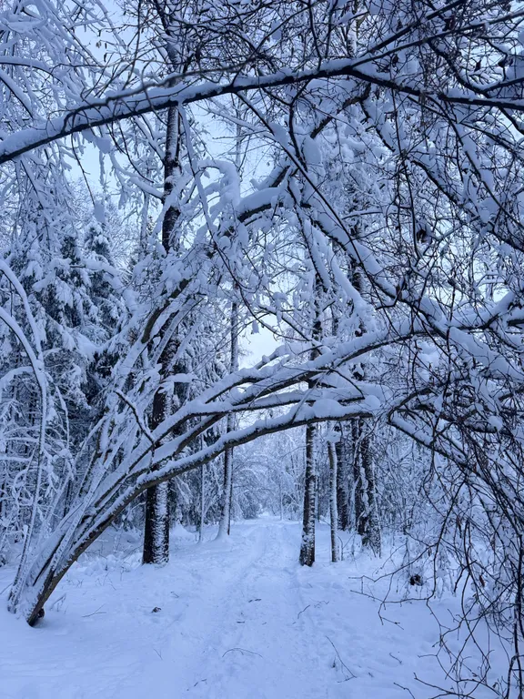 Коттедж Дом у леса — Истра