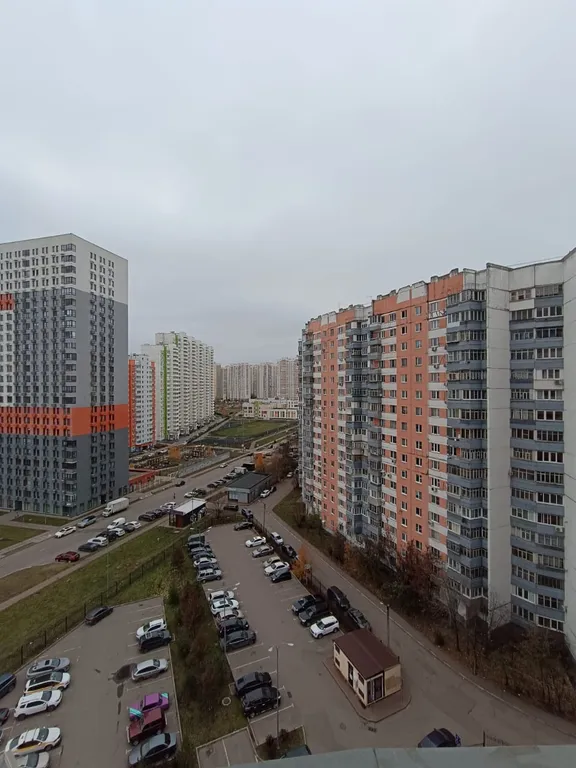 Студия со свободной планировкой