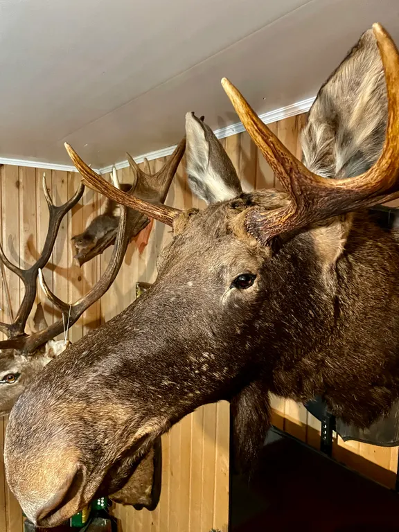 Три богатыря