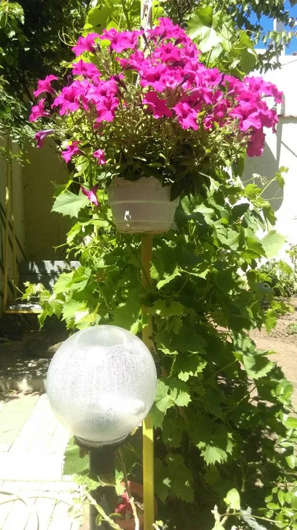 Коттедж Уютный домик с новым ремонтом — Евпатория