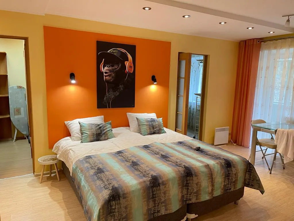 Уютная чистая просторная квартира