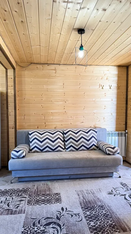 Дом для большой компании