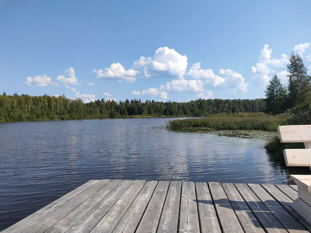 Валдай Дальняя Дача 1