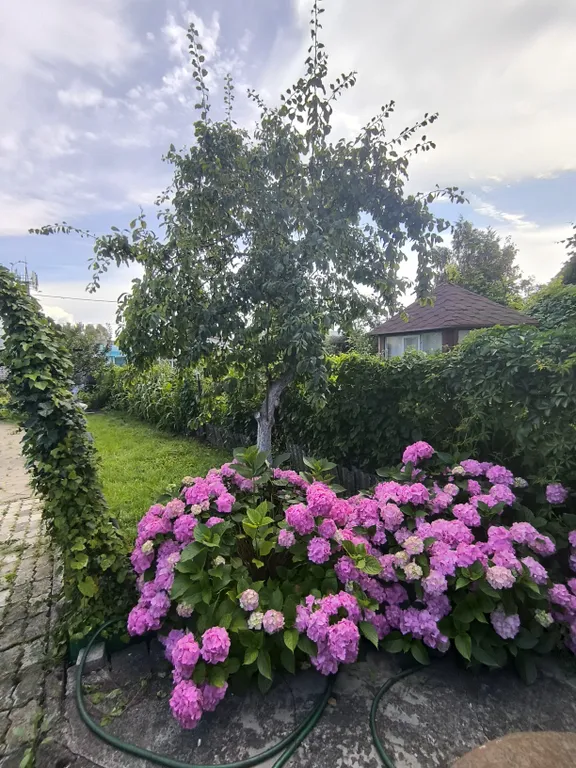 Коттедж Уютный домик на территории частного сектора с беседкой и зоной барбекю — Зеленоградск