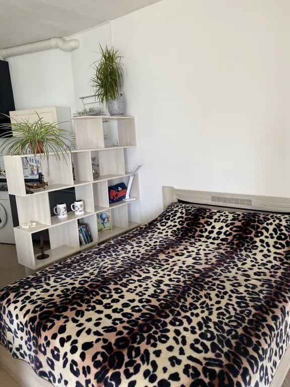 Большая студия с видом на море с панорамными окнами