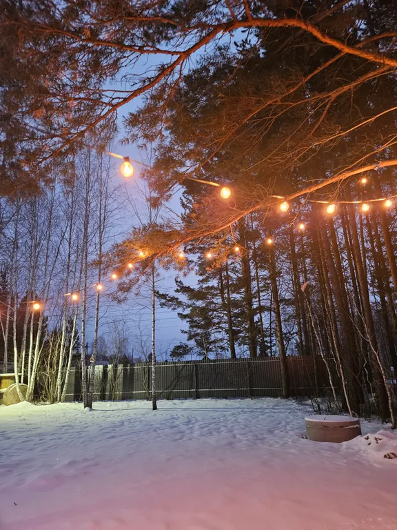 Загородный дом под соснами с сауной и чаном