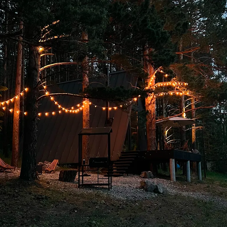 Дом с купелью и камином