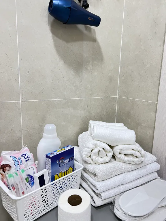 Двухкомнатная квартира в центре города